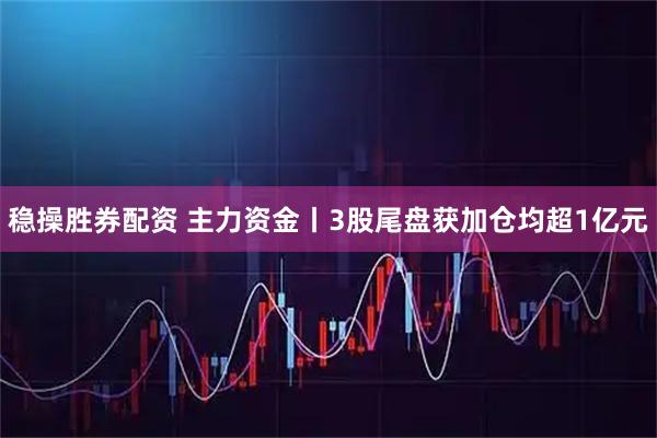 稳操胜券配资 主力资金丨3股尾盘获加仓均超1亿元